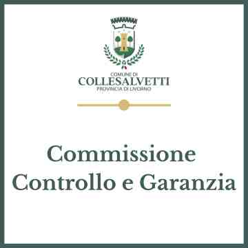 20.11.2025.Commissione Controllo e Garanzia