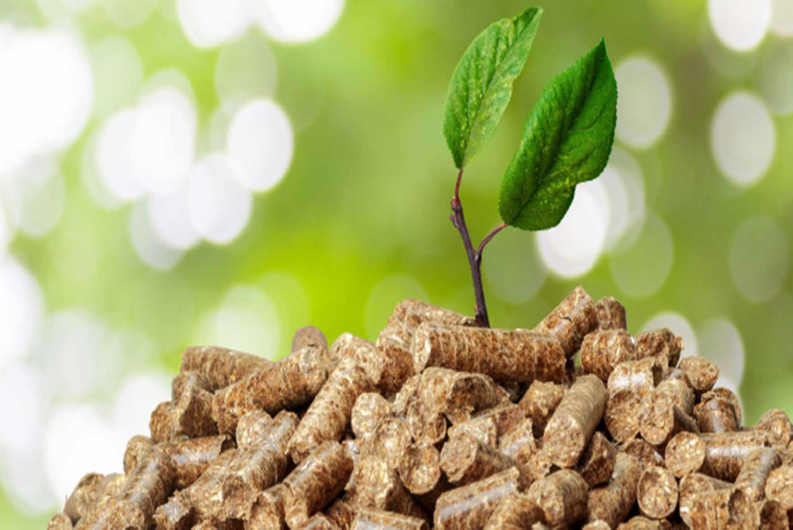 Indagine esplorativa sullutilizzo delle biomasse