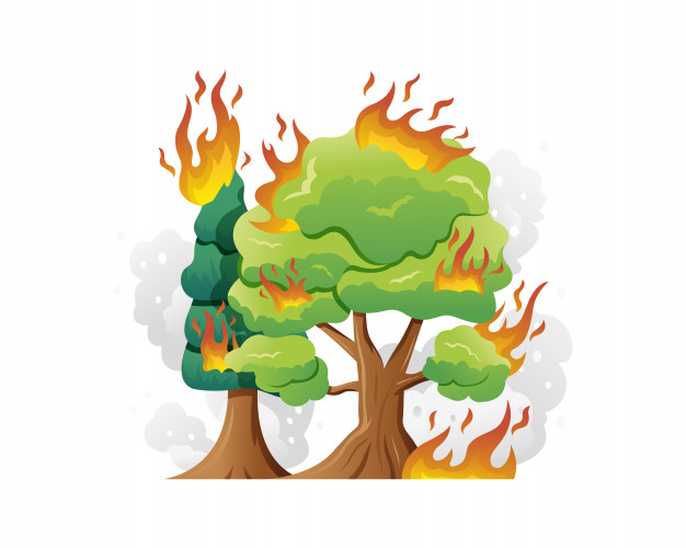 Applicazione di misure di prevenzione rischio incendi boschivi per le aree boscate e di interfaccia urbano rurale per l\'anno 2025