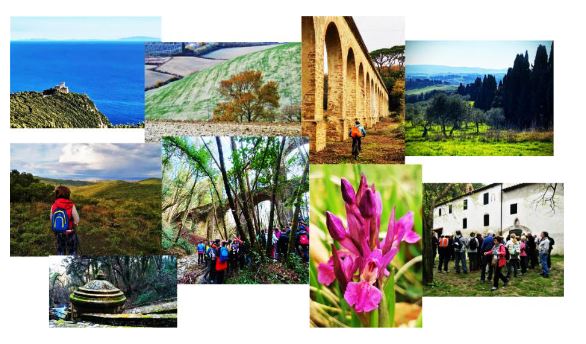 Frequentare, apprezzare, tutelare. Le aree protette dei Monti Livornesi. Sabato 20 maggio convegno al Museo di Storia Naturale di Livorno