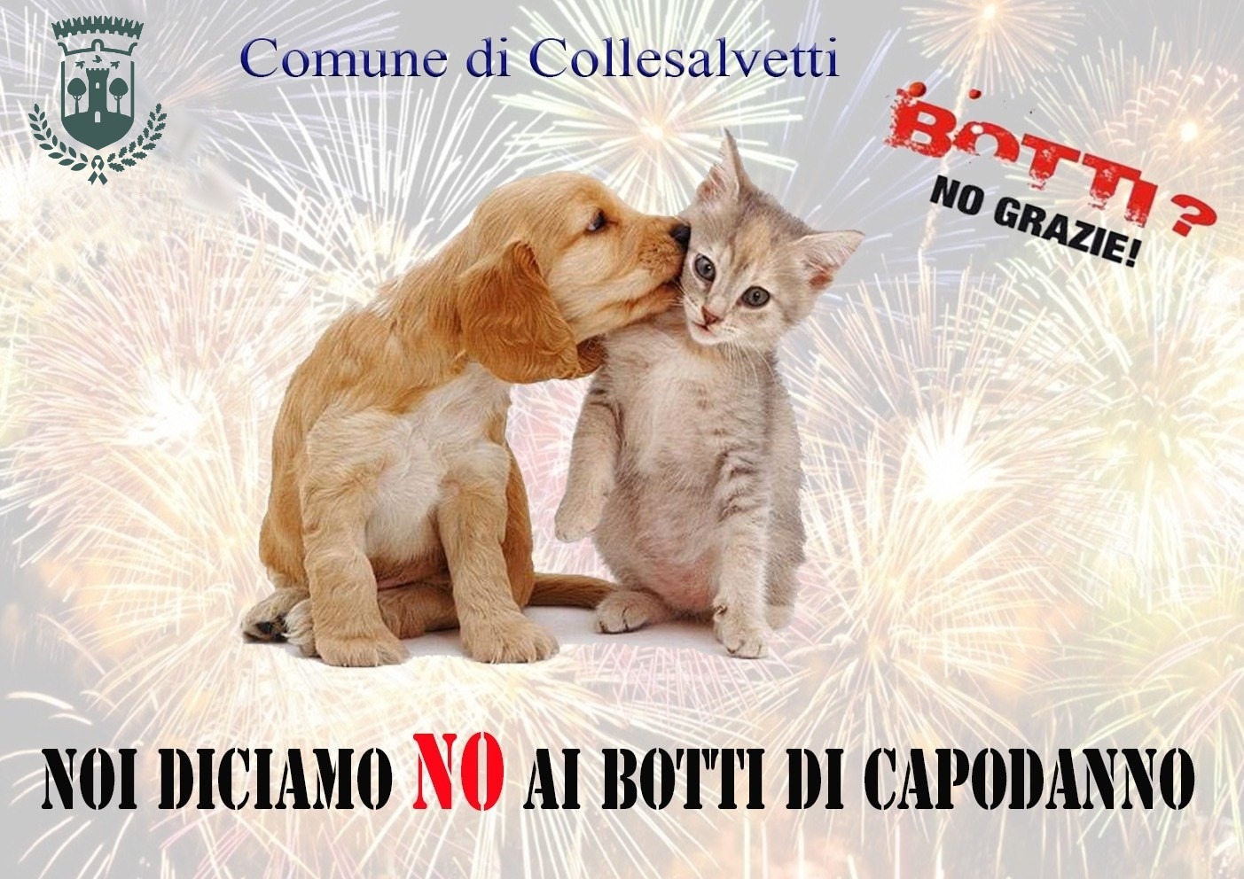 Io il capodanno lo festeggio, non me lo rovino!